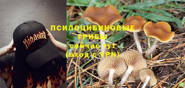 мескалин Киреевск