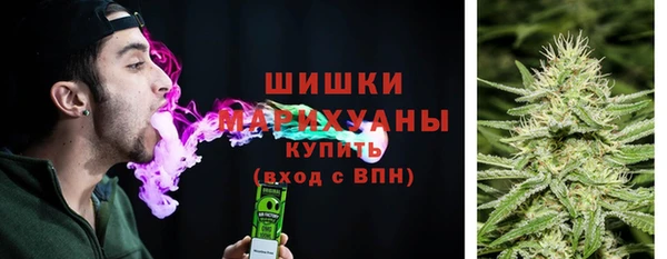 прущие грибы Кинешма