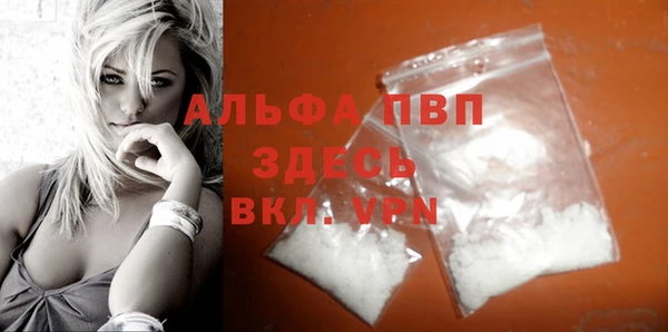 прущие грибы Кинешма