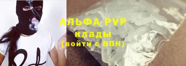 прущие грибы Кинешма