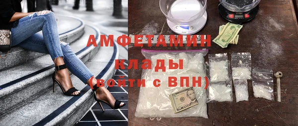 прущие грибы Кинешма