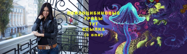 прущие грибы Кинешма
